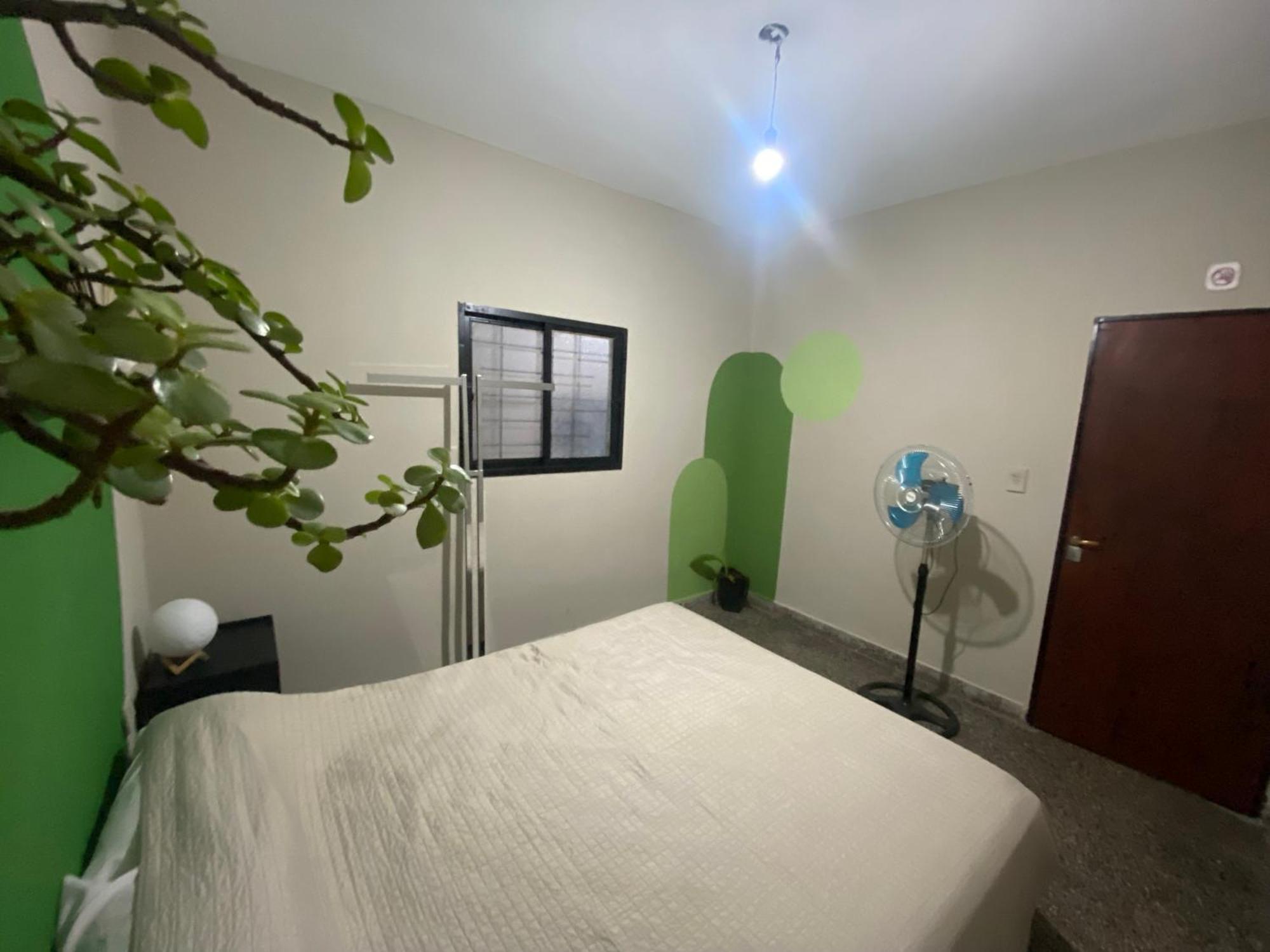 Urban Jungle Hostel San Miguel de Tucumán Exteriör bild